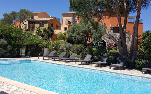 Calvi 610
