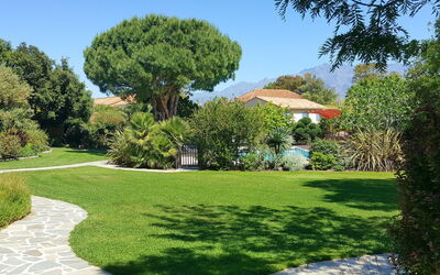 Calvi 610