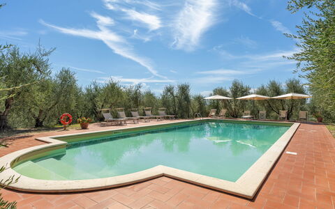 La Fonte: Garten, Hazienda, Landscaping, Estate, Schwimmbad, Garten, Villa, Resort, Eco Hotel, Hinterhof
