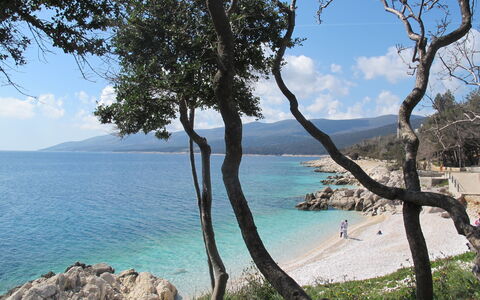 Rabac 638: Wasser, Himmel, Wolke, Pflanze, Wasservorräte, Natürliche Landschaft, Holz, Baum, See, Kofferraum