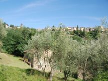 Magrini
