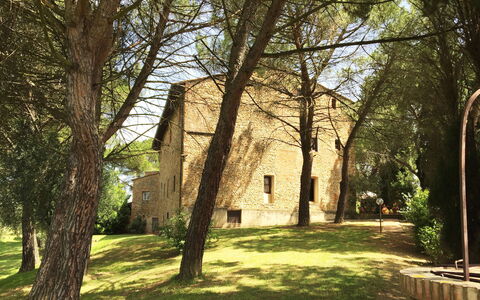 Malmantile: Baum, Gras, Gehölz, Die Architektur, Sonnenlicht, Gebäude, Pflanze, Frühling, Haus, Wald