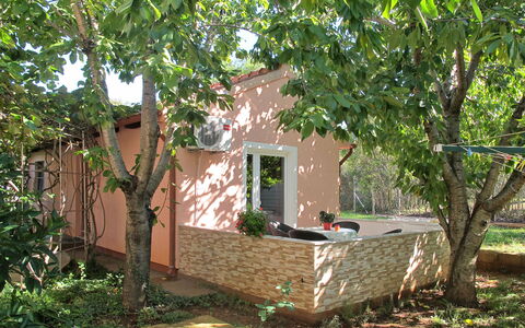 Catarina 1: Pflanze, Gebäude, Fenster, Baum, Grundstueck, Haus, Hütte, Holz, Wohngebiet, Gras