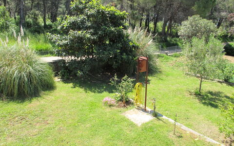 Zadar 618: Pflanze, Eigentum, Pflanzengemeinschaft, Natürliche Landschaft, Baum, Grundstueck, Gras, Landschaft, Ground, Wiese