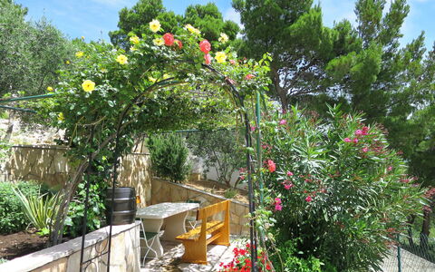 Nina: Blume, Garten, Pflanze, Baum, Botanik, Die Architektur, Frühling, Garten, Haus, Grundeigentum