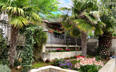 Garden: Pflanze, Eigentum, Gebäude, Pflanzengemeinschaft, Blume, Baum, Blatt, Natur, Botanik, Himmel