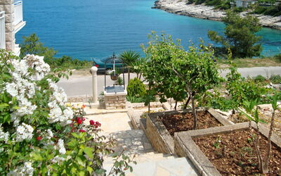 Korčula Korčula 604: Eigentum, Grundeigentum, Haus, Pflanze, Gebäude, Blume, Wohnung, Urlaub, Meer, Sommer
