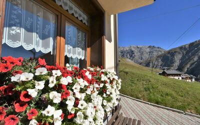 Livigno 619: Pflanze, Blume, Gebäude, Eigentum, Fenster, Blumentopf, Himmel, Berg, Haus, Blütenblatt