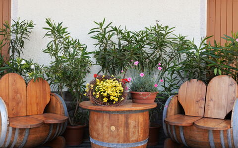 Andriano 602: Blumentopf, Zimmerpflanze, Pflanze, Blume, Garten, Kraut, Fass, Zimmer, Holz, Möbel