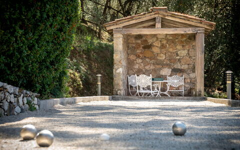Villa Igea 13: Pflanze, Natur, Holz, Baum, Gras, Strassenbelag, Sonnenlicht, Biome, Kofferraum, Öffentlicher Raum
