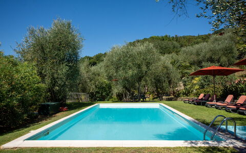 Villa Igea 13: Wasser, Himmel, Pflanze, Eigentum, Schwimmbad, Schatten, Baum, Natürliche Landschaft, Rechteck, Landschaft