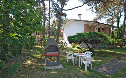 Lignano Pineta 620: Pflanze, Gebäude, Stuhl, Baum, Himmel, Haus, Gartenmöbel, Fenster, Schatten, Gras