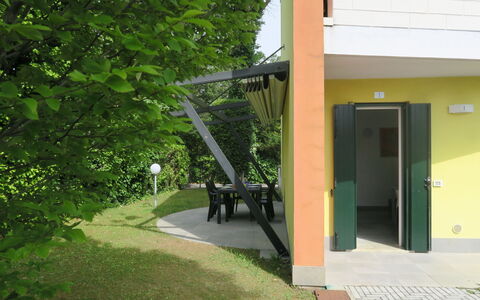 Begonie: Pflanze, Schatten, Tür, Gebäude, Strassenbelag, Baum, Grundeigentum, Gras, Tönungen Und Schatten, Landschaft
