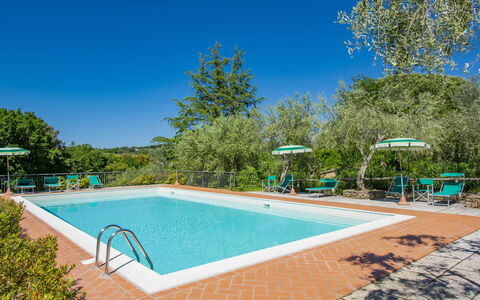 Casale Marittimo 607: Wasser, Himmel, Eigentum, Schwimmbad, Azurblau, Schatten, Baum, Pflanze, Rechteck, Gewässer