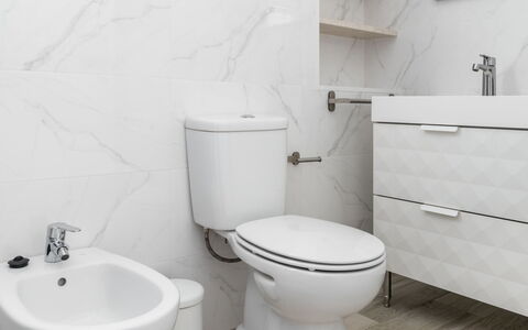 Avó Lucy: Armatur, Toilleten Sitz, Eigentum, Toilette, Weiss, Produkt, Lila, Badezimmer, Schwarz, Bad Sink
