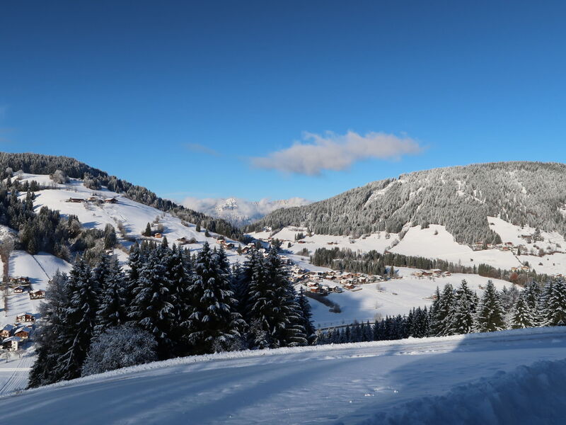 Wildschönau 697