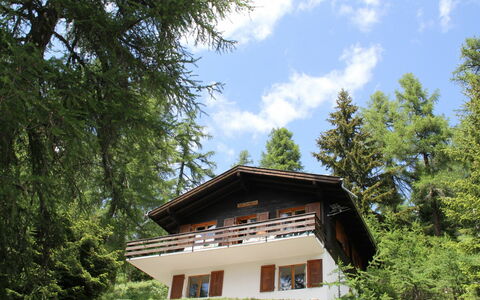 Chalet Soldanella (Bel205): Himmel, Pflanze, Wolke, Baum, Natürliche Landschaft, Holz, Fenster, Gras, Haus, Abstellgleis