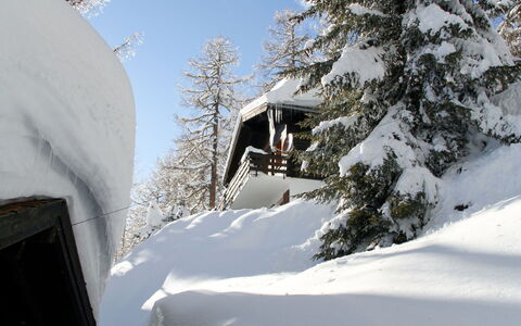Chalet Soldanella (Bel205): Schnee, Winter, Geologisches Phänomen, Einfrieren, Eigentum, Baum, Haus, Zuhause, Terrain, Hütte