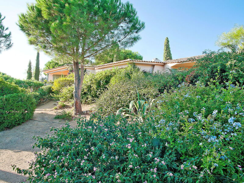 Porto Vecchio 698