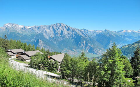 Edelweiss: Himmel, Berg, Pflanze, Ökoregion, Natürliche Landschaft, Hochland, Baum, Grundstueck, Steigung, Gras