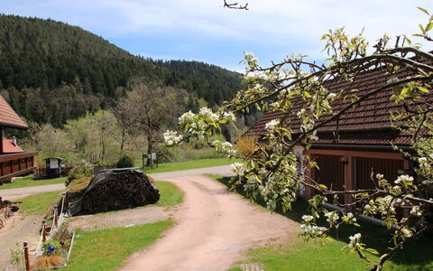 Backhäusle: Wolke, Pflanze, Himmel, Gebäude, Berg, Natur, Natürliche Landschaft, Haus, Grundstueck, Baum