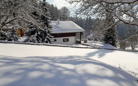 Mühlberg: Schnee, Winter, Baum, Zuhause, Einfrieren, Himmel, Haus, Eigentum, Ast, Frost