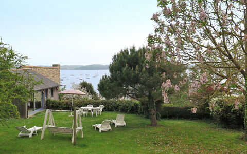 Bella Vista: Pflanze, Baum, Grundstueck, Strauch, Garten, Rasen, Hinterhof, Park, Garten, Ground