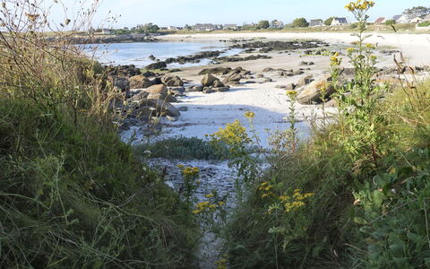 Ty Coz Ar Mor: Gewässer, Wasser, Natürliche Landschaft, Wasservorräte, Vegetation, Bank, Natürlichen Umgebung, Fluss, Naturschutzgebiet, Wasserlauf