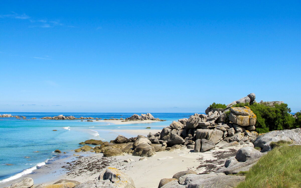 Aux Plaisirs De La Mer (Ced207)