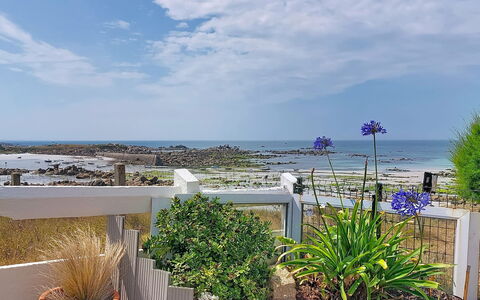 Ti an Aod: Blau, Meer, Küste, Ozean, Garten, Ufer, Landscaping, Blumentopf, Zimmerpflanze