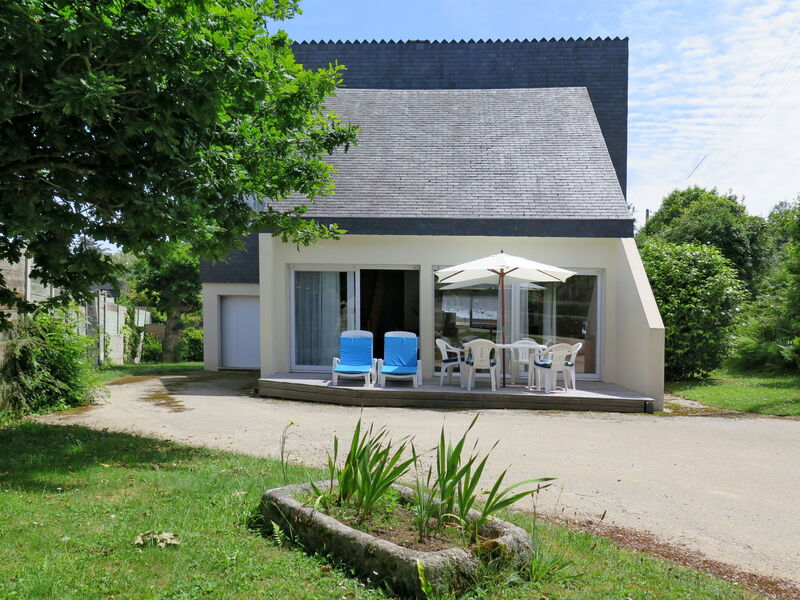 Les Sternes (Pgv102)