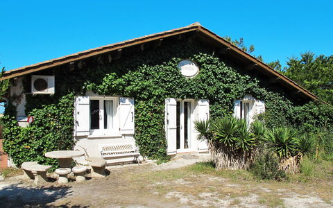 Petite Ramaline: Himmel, Pflanze, Gebäude, Fenster, Grundstueck, Schatten, Haus, Baum, Tür