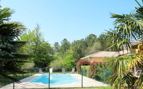Eugénie: Himmel, Pflanze, Daytime, Gebäude, Natur, Azurblau, Zaun, Schatten, Botanik, Baum