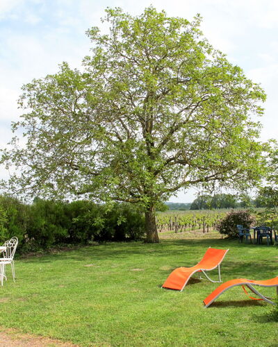 Les Mailloches