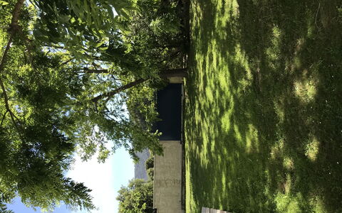 Casa Antoinette: Gebäude, Pflanze, Grün, Natürliche Landschaft, Holz, Ast, Kofferraum, Sonnenlicht, Vegetation, Schatten