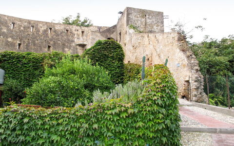 Ernestina: Wand, Befestigung, Vegetation, Schloss, Ruinen, Gebäude, Gras, Baum, Pflanze, Geschichte