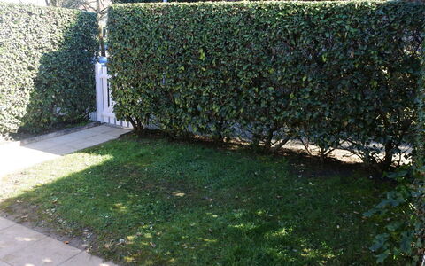 Rivages D'Olonne: Hecke, Strauch, Baum, Gras, Grün, Eigentum, Thuya, Pflanze, Gehölz, Blatt