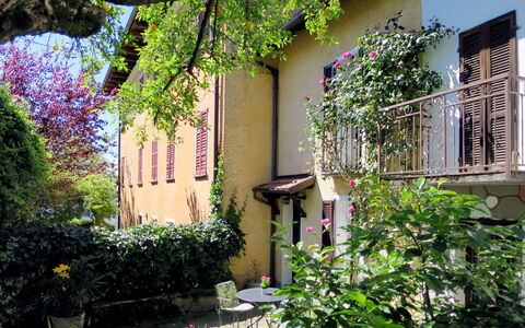 Nicol: Pflanze, Eigentum, Strauch, Garten, Haus, Grundeigentum, Gebäude, Lila, Wohngebiet
