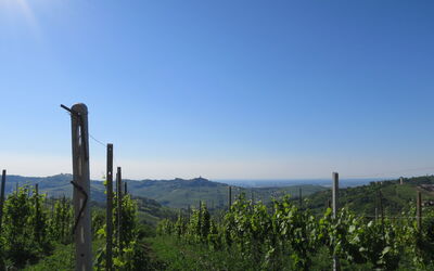 Ca' Del Vento