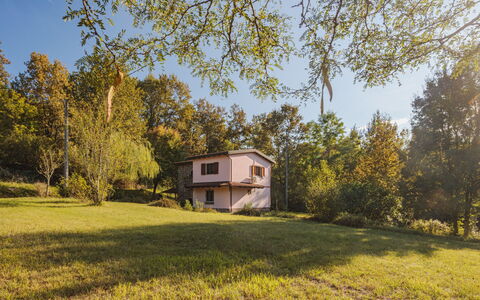 Grande Quercia: Pflanze, Himmel, Gebäude, Fenster, Haus, Natürliche Landschaft, Baum, Grundstueck, Gras, Hütte