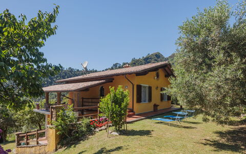 Luca: Pflanze, Himmel, Gebäude, Fenster, Pflanzengemeinschaft, Haus, Baum, Grundstueck, Schatten, Natürliche Landschaft