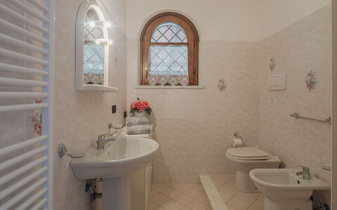 Luca: Armatur, Sinken, Zapfhahn, Eigentum, Bad Sink, Weiss, Badezimmer, Lila, Fenster, Interior Design