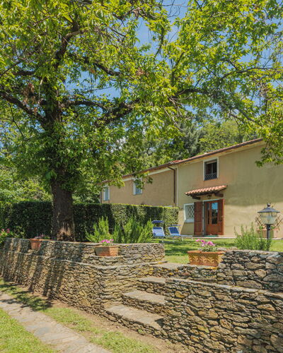 Di Carlino