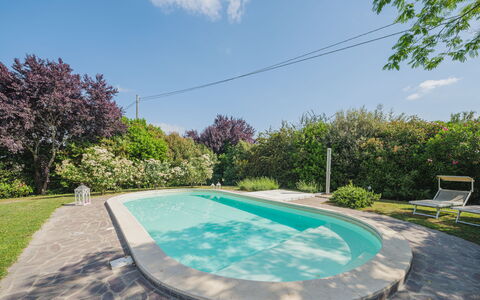 Villa Ulivo: Wasser, Himmel, Pflanze, Eigentum, Wolke, Schwimmbad, Natur, Botanik, Azurblau, Die Architektur