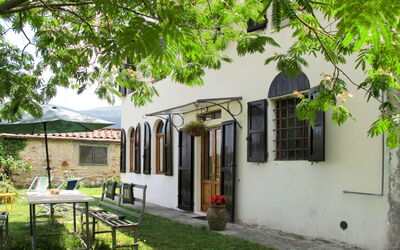 Colletto (Luu650)
