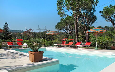 Verde Versilia: Wasser, Pflanze, Himmel, Eigentum, Schwimmbad, Azurblau, Baum, Schatten, Gartenmöbel, Blumentopf