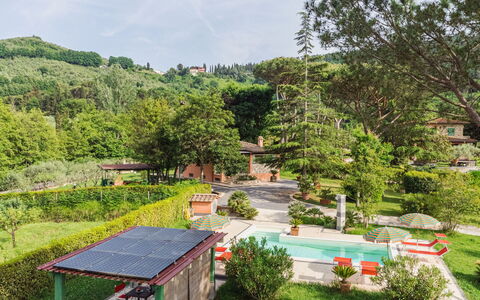 Verde Versilia: Pflanze, Himmel, Eigentum, Wolke, Gebäude, Baum, Blume, Natürliche Landschaft, Grundstueck, Die Architektur