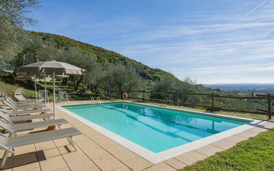 Francesco - Pieve a Nievole, Toskana, Italien