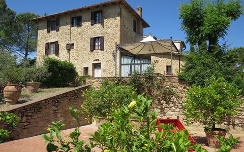 Il Sangiovese: Pflanze, Eigentum, Haus, Wohngebiet, Grundeigentum, Gebäude, Strauch, Garten, Zuhause, Dach