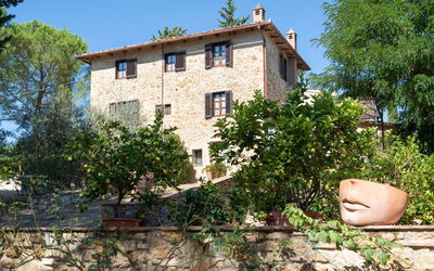Il Sangiovese